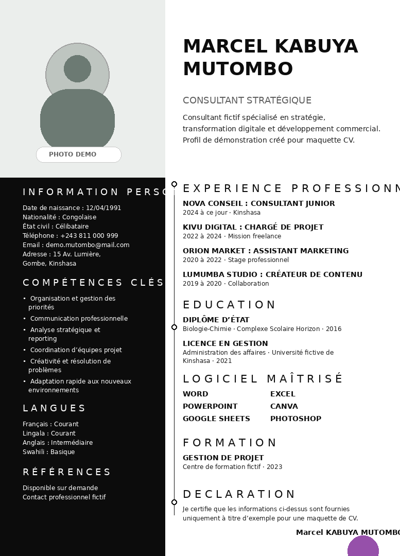 Portrait Strategy